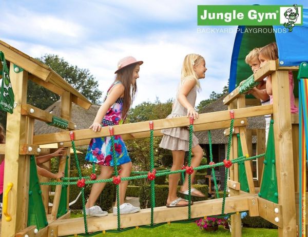 Jungle Gym Net link modul